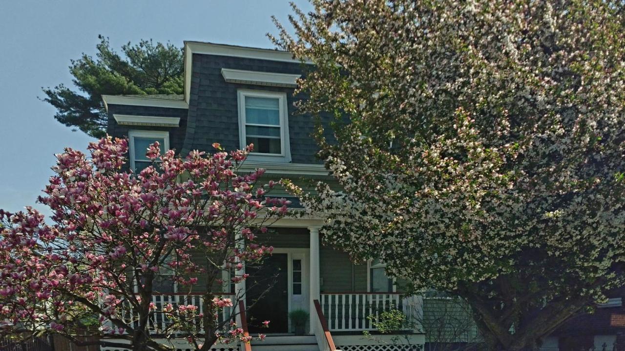 2 Bedroom Boston Condo In Jamaica Plain With Parking Eksteriør billede